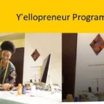 mtn-yellopreneur-program-for-females-2-million