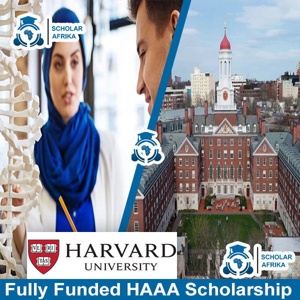 Fully-Funded-HAAA-Scholarship